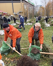 Югорский РИЦ принял участие в озеленении Сургута (октябрь 2026 г.)